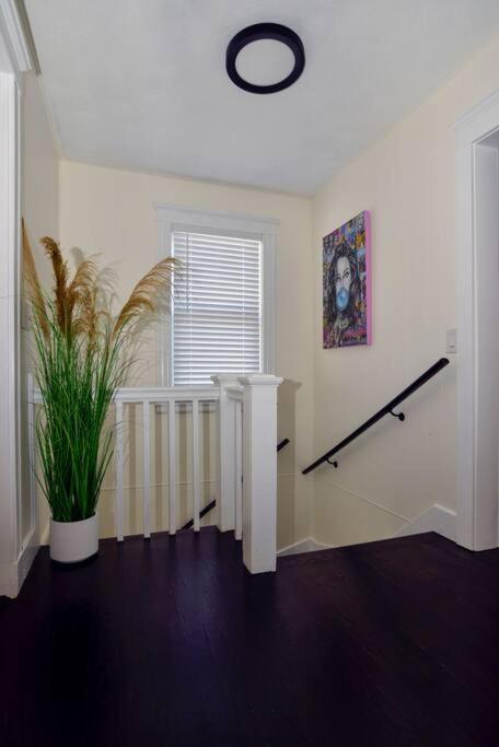 Modern Three Bedroom - Boston Stoneham